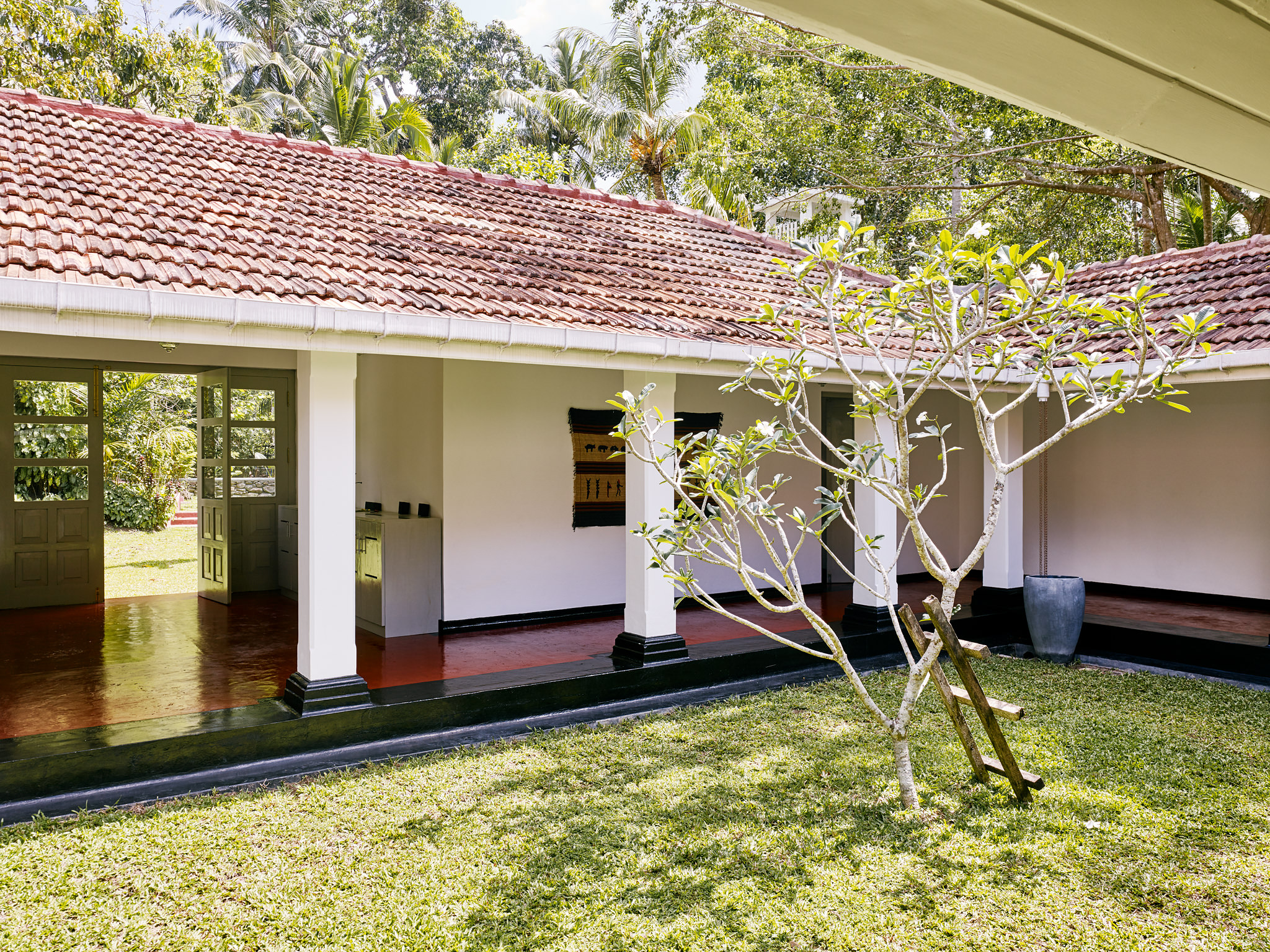 E15550 Alpa 050055 SCREEN